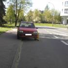 zdjęcie nr 8