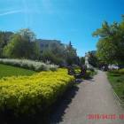 zdjęcie nr 8