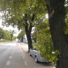 zdjęcie nr 53
