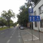 zdjęcie nr 55