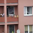 zdjęcie nr 36