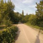 zdjęcie nr 30