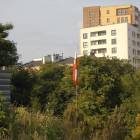 zdjęcie nr 31
