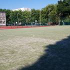 Fotka nr 4 z 8