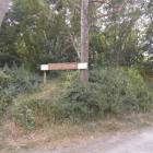 Fotka nr 5 z 17