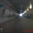 zdjęcie nr 22