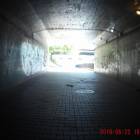 zdjęcie nr 34