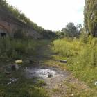 Fotka nr 5 z 10