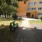 zdjęcie nr 15