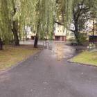 zdjęcie nr 25