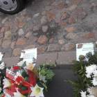 zdjęcie nr 12
