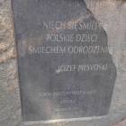 zdjęcie nr 16