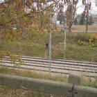zdjęcie nr 36
