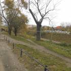 zdjęcie nr 41