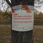 zdjęcie nr 53