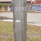zdjęcie nr 67