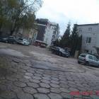 zdjęcie nr 12