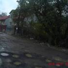 zdjęcie nr 42