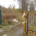 zdjęcie nr 49