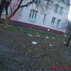 zdjęcie nr 7