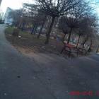 zdjęcie nr 8