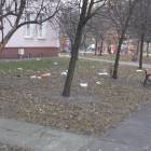 zdjęcie nr 14