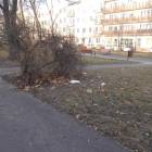 zdjęcie nr 16