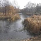 zdjęcie nr 20