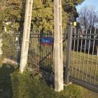 zdjęcie nr 22
