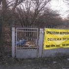 zdjęcie nr 31
