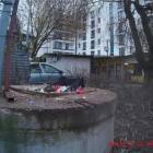 zdjęcie nr 19