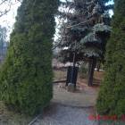 zdjęcie nr 7