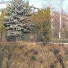 zdjęcie nr 48