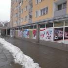 zdjęcie nr 8