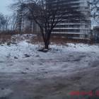 zdjęcie nr 8