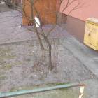 zdjęcie nr 8