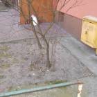 zdjęcie nr 9