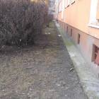 zdjęcie nr 12