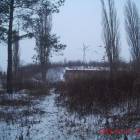 zdjęcie nr 7