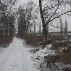 zdjęcie nr 14