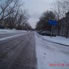 zdjęcie nr 81