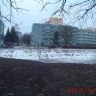 zdjęcie nr 8