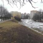 zdjęcie nr 36