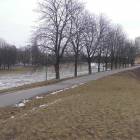 zdjęcie nr 38