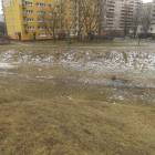 zdjęcie nr 40