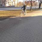 zdjęcie nr 31