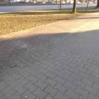 zdjęcie nr 32