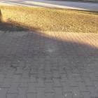zdjęcie nr 33