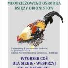 zdjęcie nr 7