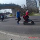 zdjęcie nr 10